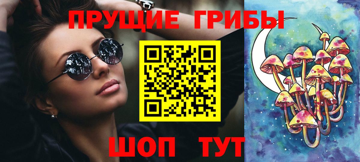 Псилоцибиновые грибы Psilocybine cubensis  Псилоцибиновые грибы мицелий  цена   Вход с VPN  Кудрово 